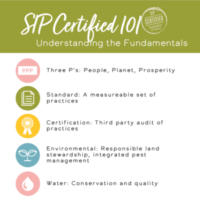 SIP 101: Understanding the Fundamentals